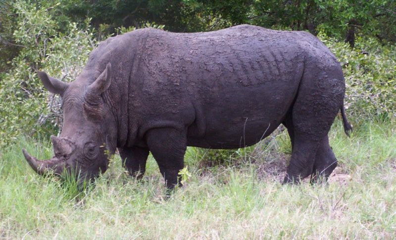20041202145924.Afrika 0292